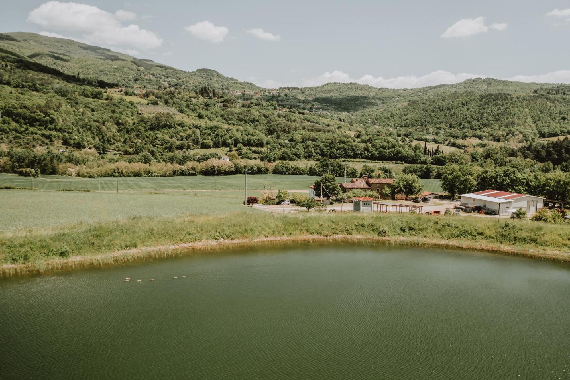 Baciano Azienda Agrituristico Venatoria Capolona Екстер'єр фото