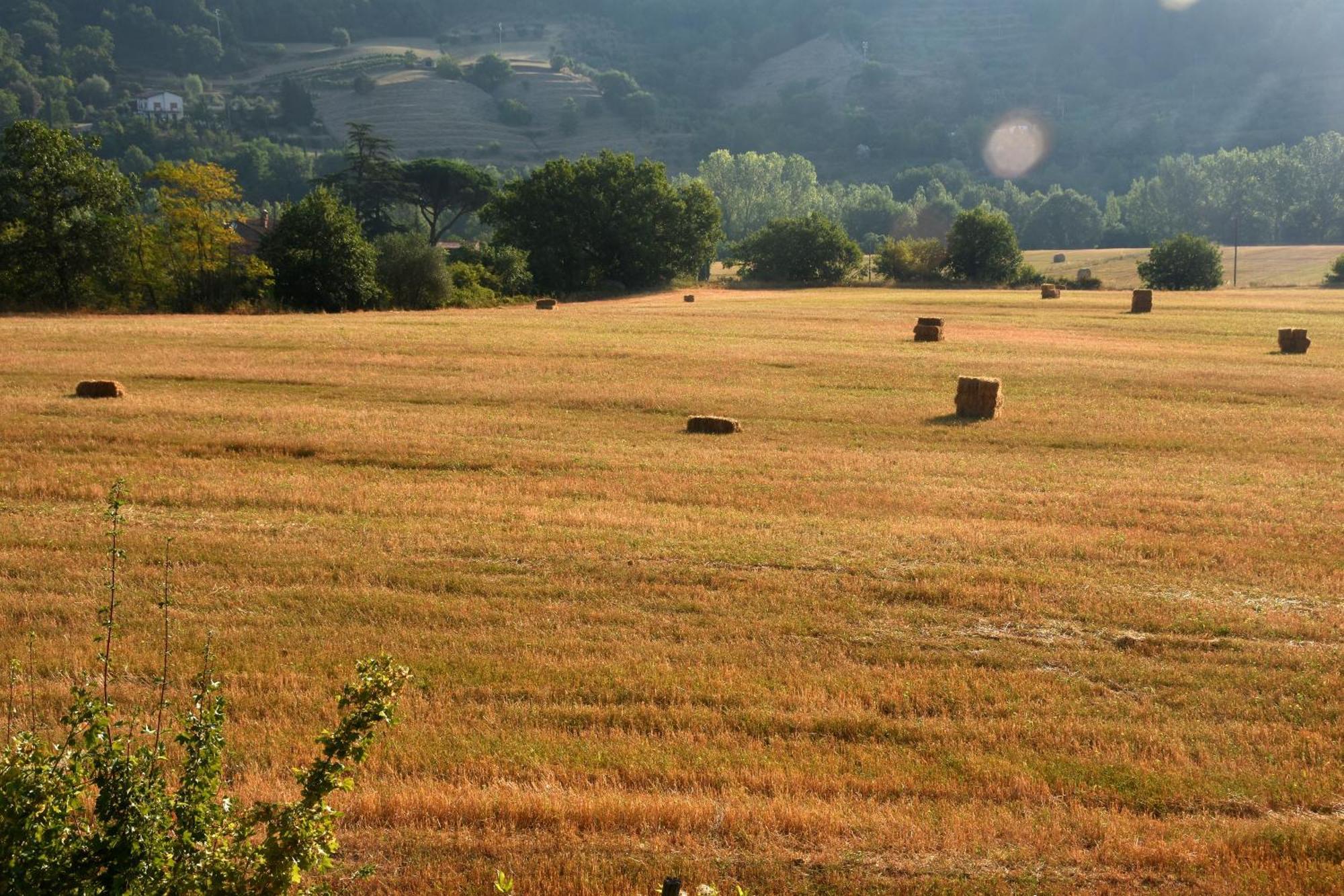 Baciano Azienda Agrituristico Venatoria Capolona Екстер'єр фото